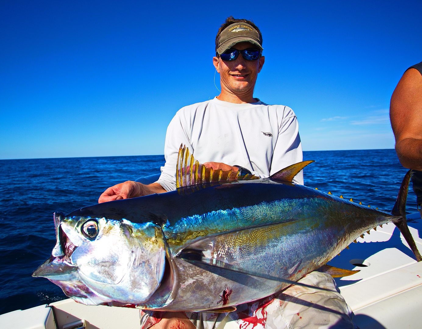 Yellowfin Tuna, New Jersey August 2015 Bloodydecks